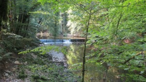 Gorges de l'Areuse