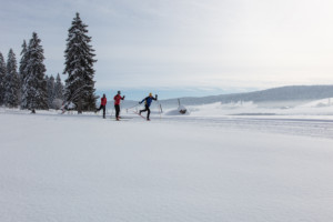 Ski de fond