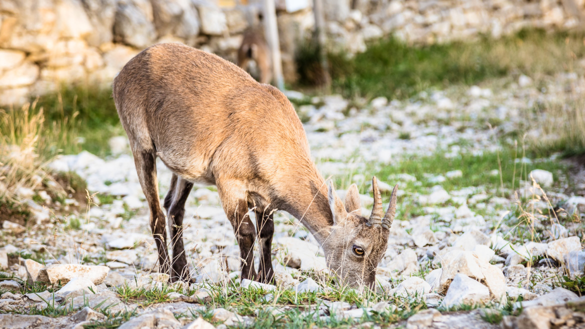 Ostern im Val-de-Travers