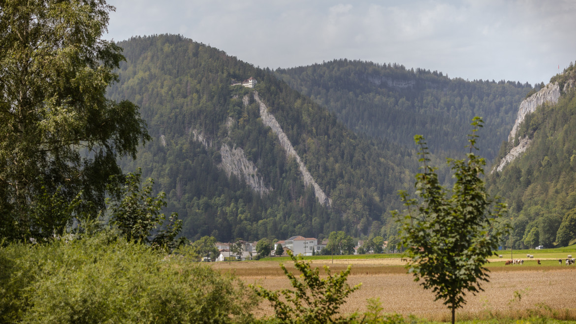 Die Wälder im Val-de-Travers leiden unter der Trockenheit